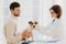 Young veteranian woman examines jack russel terrier dog, works in animal clinic, talks with male owner, pose indoor. Pedigree dog