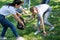 young volunteers cleaning lawn