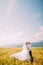 Young wedding pair posing on windy sunny field with distant forest hills and magnificent blue sky as background