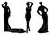 Young wemen in evening dresses for a party silhouettes