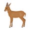 A young, wild antelope. A wild-footed animal of an antelope single icon in cartoon style vector symbol stock