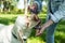 Young woman adopt young dog Labrador Retriever from animal rescue center and gave him love and friendship. Female animal lover