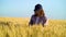 Young woman agronomist walking in wheat field and examining crops