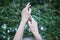 Young woman arms raised up to sky, celebrating freedom. Positive human emotions feeling life perception success, peace of mind