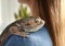 Young woman with bearded lizard at home. Exotic pet