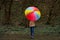 young woman in a beige coat and rain boots stands in forest or park and holds colorful bright rainbow umbrella