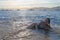 Young woman in bikini lies on Mediterranean coast