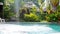 Young woman in black bikini jumping into swimming pool in lush palm tree jungle on tropical island. Girl enjoying summer