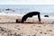 Young woman in black doing yoga on sand beach at sunrise