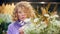 Young woman with blond curly looking blooming chamomile in orangery. Florist woman in violet sweater touching petals