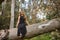 Young woman, blonde and beautiful, with a black dress, sitting on the trunk of a large tree, in the middle of nature, pure and