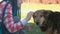 Young woman with blue braids hairs pet the dog outside.