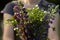 A young woman with a bouquet of wild flowers chamomile, lupine, clover in her hands is standing in a meadow, close-up. Summer,