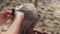 Young woman braiding gray hair of her elderly senior mother resting at the beach, closeup on head and her hands, blurred sand