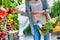 Young woman buyer picking tomato in greenhouse