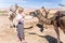 Young woman with a camels in Morocco.