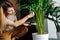 Young woman carefully cutting dry stems of her potted plants at home