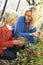 Young woman with child harvesting tomatoes