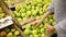 Young woman chooses apples in the store