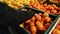 Young woman choosing fresh tangerines in a supermarket picked from organic farm. Closeup of hands of an attractive young