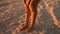 Young woman clean tanned legs thin sticky seashells pebbles and sand. Slow motion