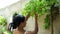 Young Woman Cleaning Tropical Plant At Home