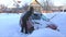 Young woman cleans snow from car