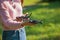 A young woman in a clearing in a park launches, checks, holds a drone, in one hand, in the other control panel.