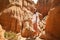 Young woman climbing an orange cliff in Portugal