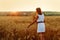 A young woman collects ears of rye. A lady enjoys the sunset in a wheat field. The concept of a rich harvest
