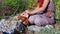 Young woman collects medicinal herbs in a mountain forest