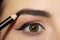 Young woman correcting eyebrow shape with pencil, closeup view