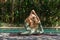 Young woman with curly long blonde hair and blue eyes in yoga asana eka pada rajakapotasana next to blue swimming pool and garden