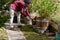 Young woman cuts old leaves and tends to the flower pots in spring