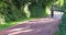 Young woman cycling in sunny morning park