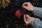 A young woman decorates the Christmas tree, putting a beautiful red ball on it. You can also see some Christmas lights on