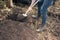 Young woman digging hole in garden