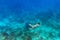 Young woman dives in tropical water