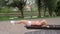 Young woman doing abs crunches in park on a bench