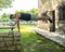 Young woman doing calisthenics exercise smiling and waving while lying flat with her body horizontal in a park