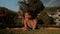 Young woman doing split exercise sitting on grass in summer morning.