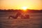 Young woman is doing yoga asana Ashtanga Namaskarasana - eight limbed salutation pose in the desert at sunset