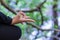 Young woman doing yoga in nature area.