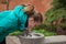 Young woman drinks water from drinking fountains