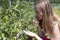 Young woman eating ripe blueberries plucking berries straight from the bush. Outdoors photo