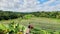 Young woman enjoying farmland view at the morning