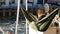 Young woman enjoying the sun in a hammock in the winter