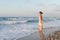 Young woman enjoys a lonesome walk on the beach at dusk.