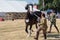 Young woman exhibiting large lively Shire Horse at agricultural show