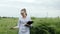 Young woman farmer wearing white bathrobe is checking harvest progress on a tablet at the green wheat field